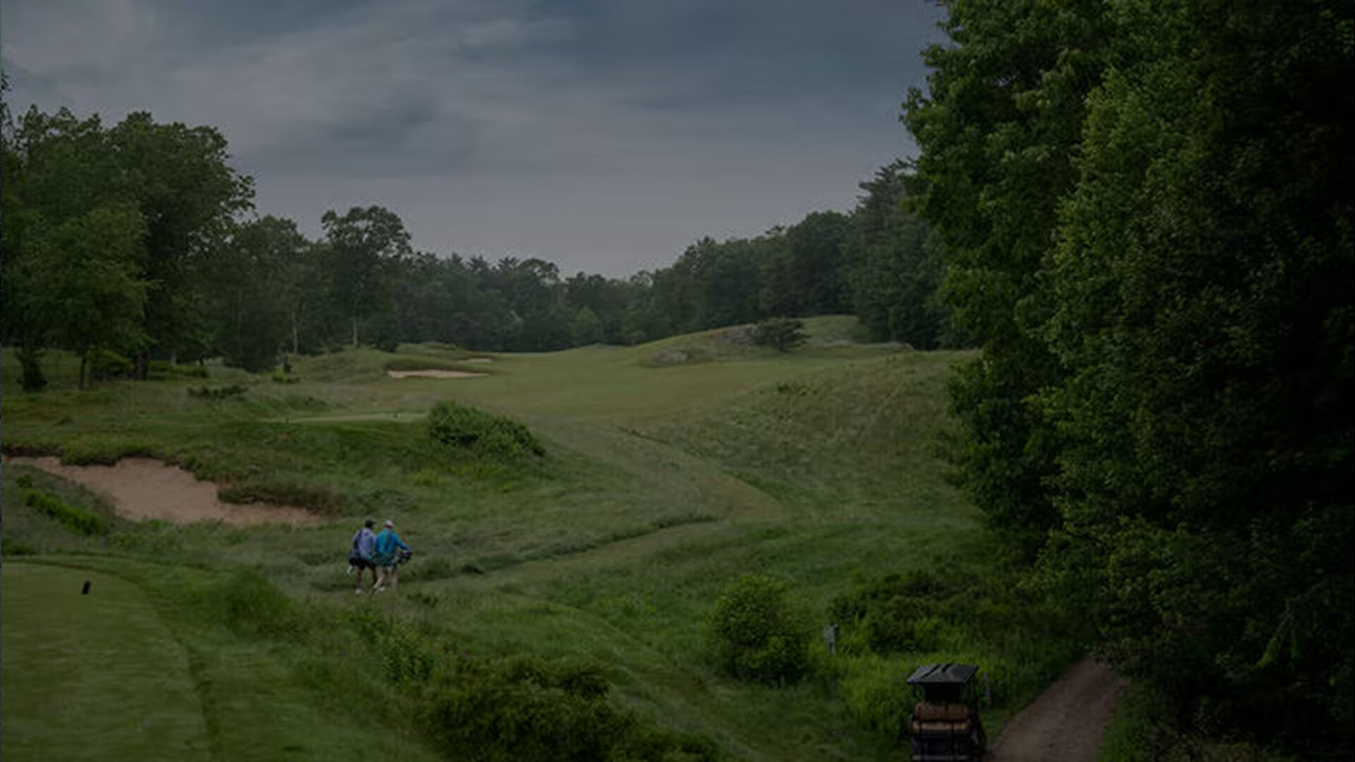 フットジョイ ジャパン】公式 オンラインストア | ゴルフシューズ