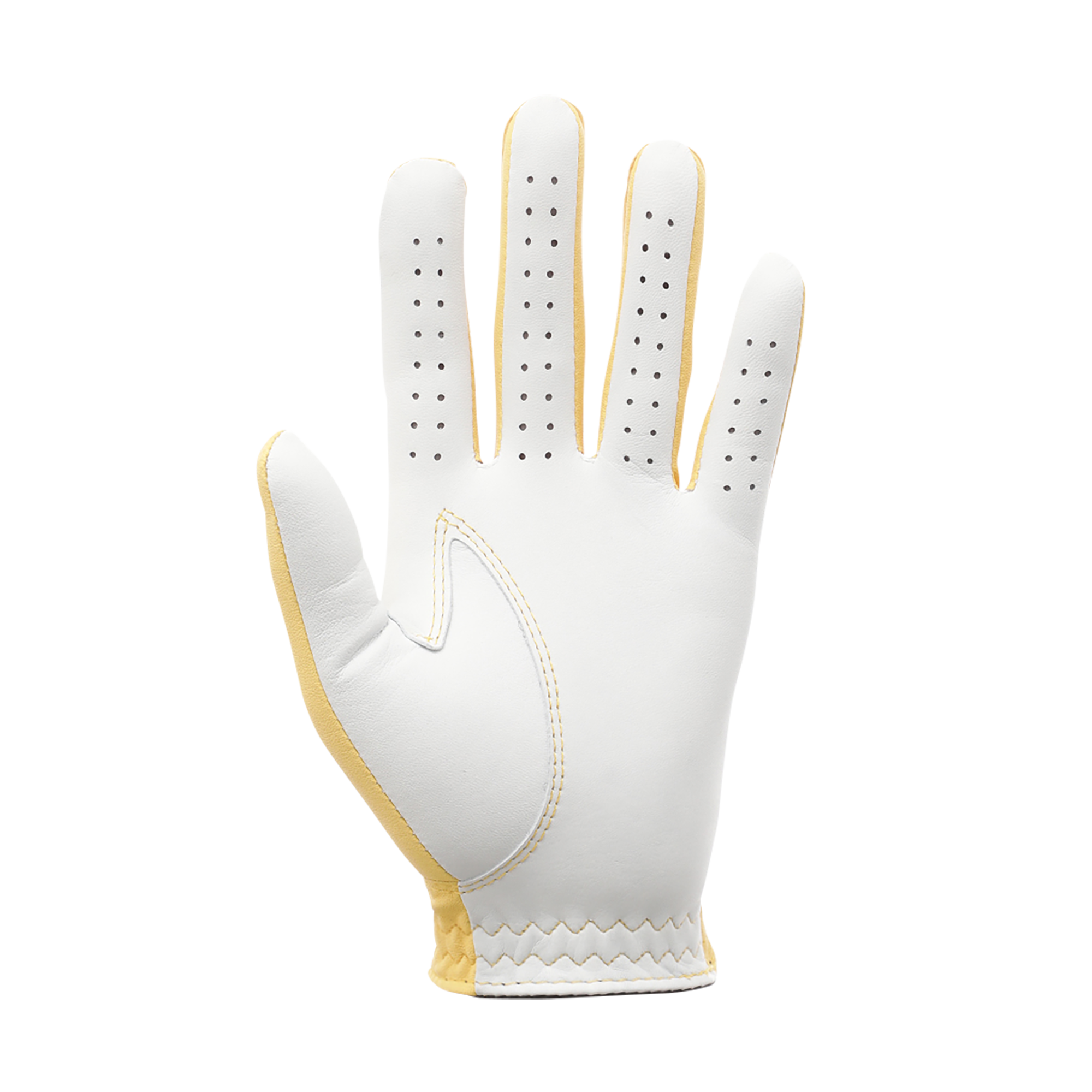 MEN&rsquo;S 限定モデル FJスペクトラム