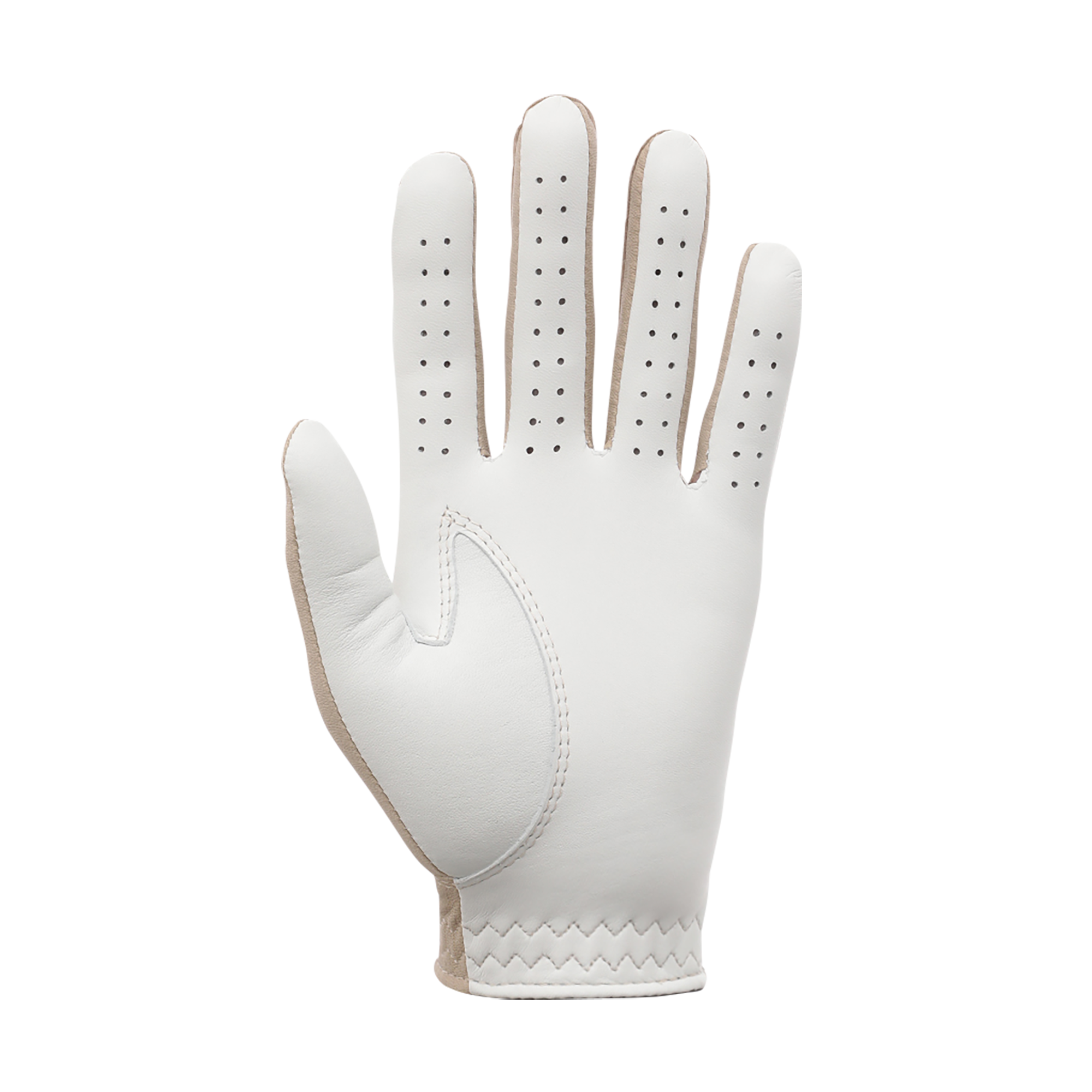 MEN&rsquo;S 限定モデル FJスペクトラム