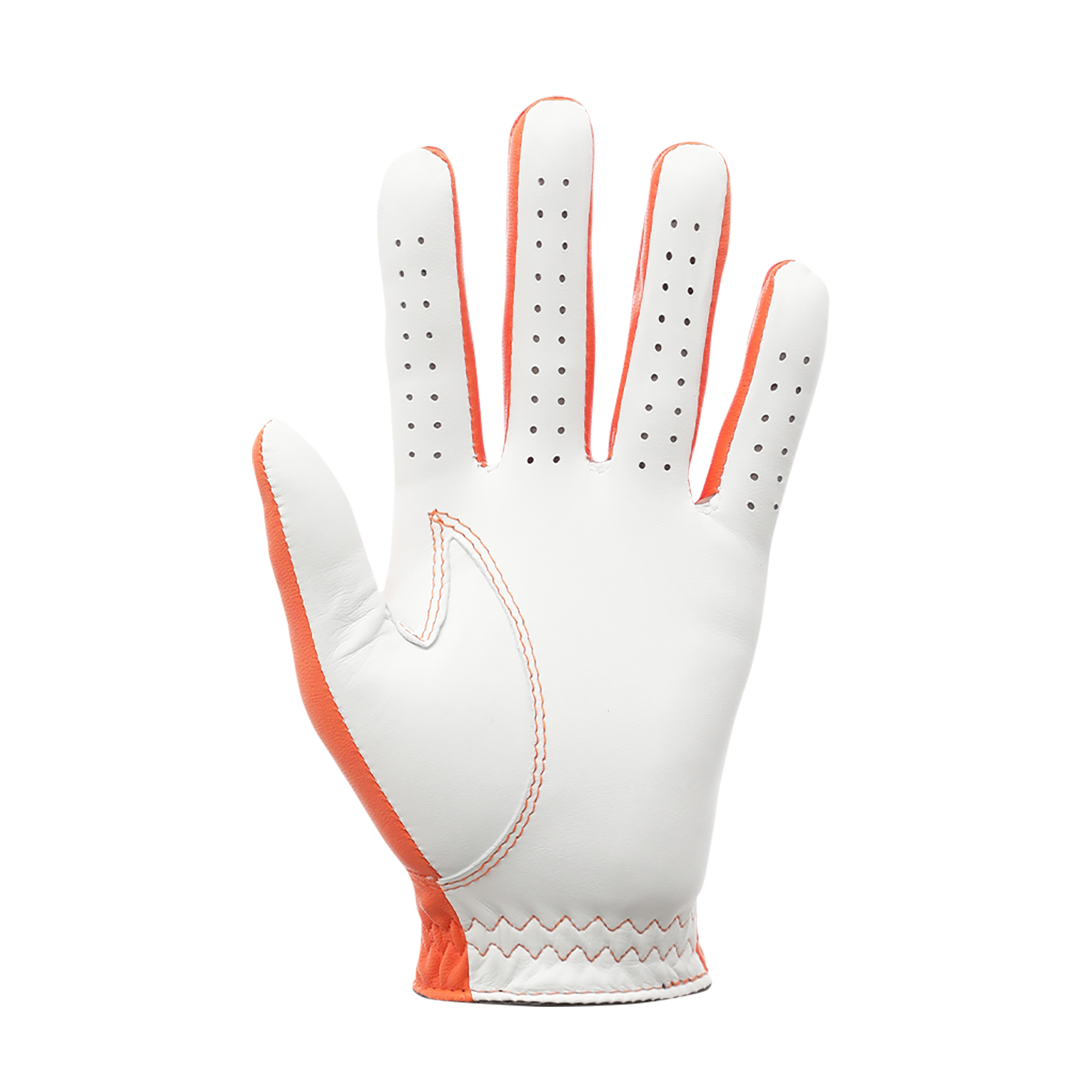 MEN&rsquo;S 限定モデル FJスペクトラム