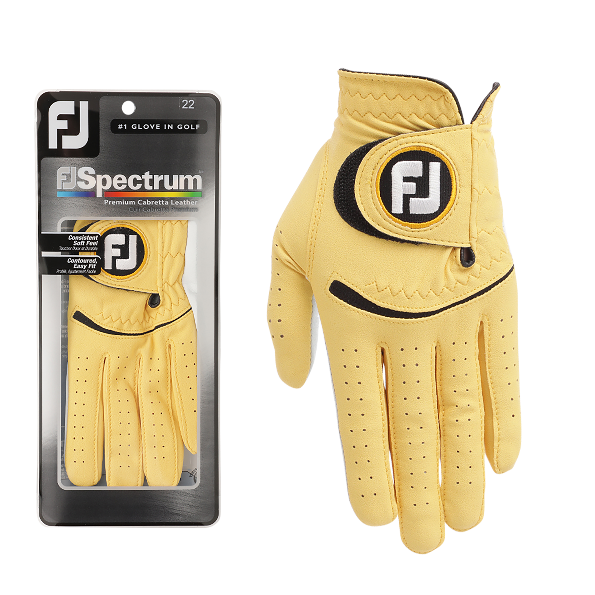 MEN'S 限定モデル FJスペクトラム - FootJoy Japan